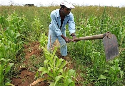 اطلاعات درباره امنیت غذایی و چالش های معیشت روستاییان را گرد آوری می کند