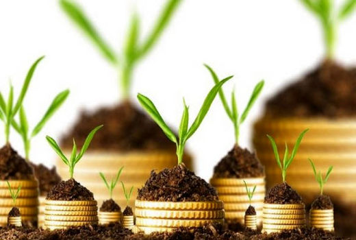  تحقق 100 درصدی سطح ابلاغی بیمه محصولات کشاورزی شهرستان چاراویماق