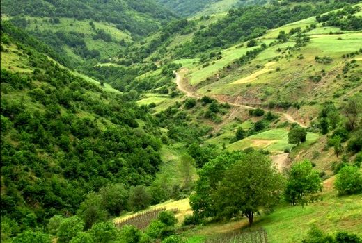 7 میلیارد ریال برای حفاظت از منابع طبیعی آذربایجان غربی اختصاص یافت