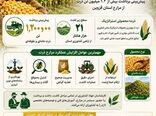 ذرت  محصول راهبردی قزوین ، در مسیر جهش تولید و امنیت غذایی 