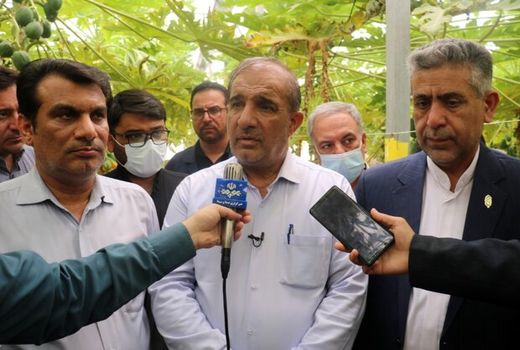 ۴۰ درصد مردم با کشاورزی مرتبط هستند/ حمایت ویژه از کشاورزان