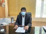 اختصاص سالانه ۷۰۰ هکتار از اراضی ایلام به کشت گیاهان دارویی 