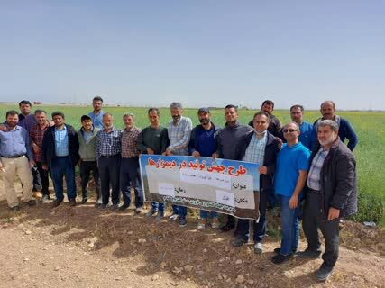 برگزاری روز مزرعه کلزا در شهرستان قزوین