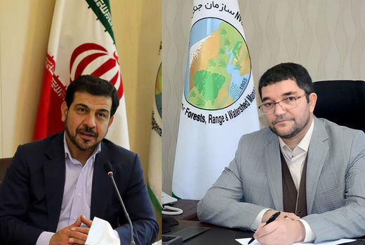 تجلیل از عملکرد مطلوب  دکتر مهردادی  در برنامه اقدام جهش سازمان جنگلها،مراتع و آبخیزداری کشور