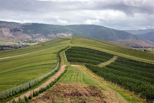 ۸هزارمترمربع از اراضی ملی شمیرانات رفع تصرف شد