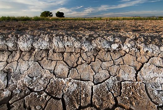 بهره‌وری خاک و کشاورزی حفاظتی؛ مسیری برای پایداری تولید