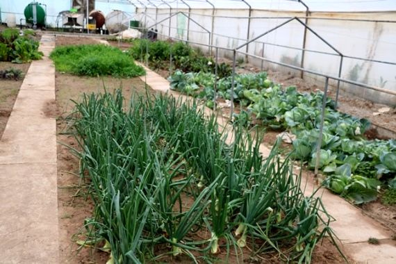 دیدار کشاورزان و مدیران جهاد کشاورزی با اعضاء کمیسیون کشاورزی، آب و منابع طبیعی مجلس شورای اسلامی و معاون زراعت وزیرجهاد کشاورزی