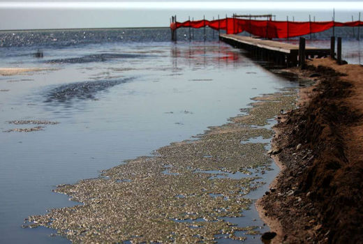 نمک‌زدایی در مقصد پیش‌شرط انتقال آب خزر به سمنان است 