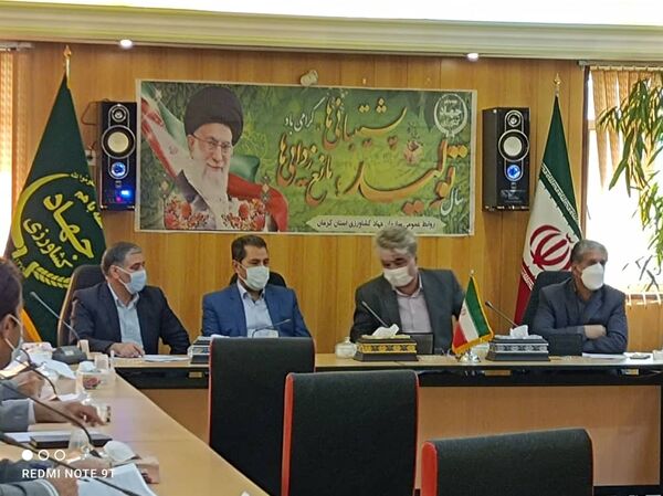 اجرای کشت قراردادی کلزا در استان کرمان 