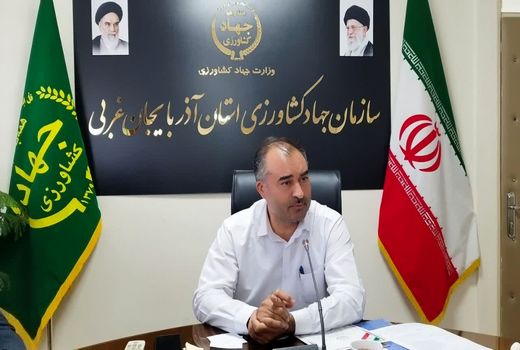 برداشت ۶۱ هزار تن آفتابگردان آجیلی و روغنی از مزارع آذربایجان غربی
