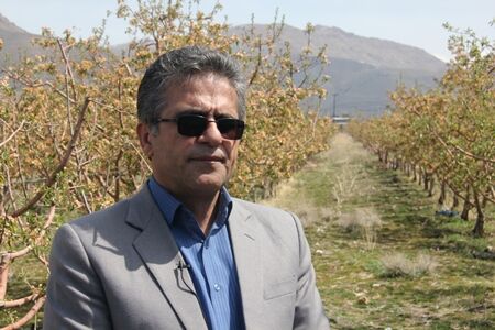 سهم 3500 هکتاری استان تهران از گلخانه های کشور