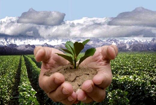  اثربخشی پروژه های تولیدات گیاهی با الگو سازی مناسب و صحیح ممکن می شود