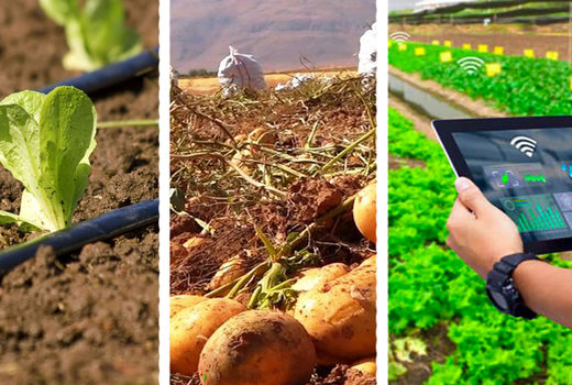 اجرای530هکتار طرح الگوی مدیریت هوشمند آبیاری دانش بنیان در شهرستان سمیرم 