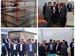یک واحد بسته‌بندی آبزیان در شیراز گشایش یافت