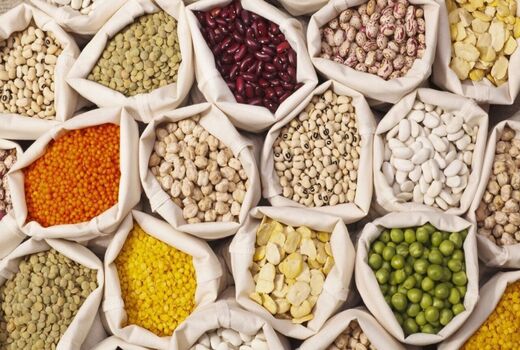 کاشت حبوبات بهاره، راهکاری برای حاصلخیزی خاک شهرستان درمیان