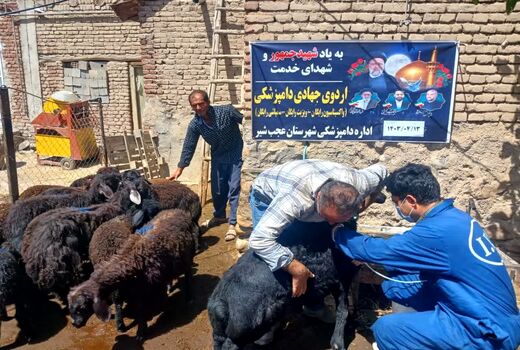 برگزاری 180 مرحله اردوهای جهاد دامپزشکی در مناطق کم برخوردار استان آذربایجان شرقی 