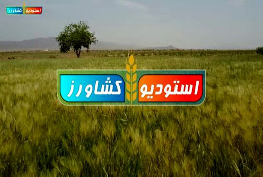 پیشتازی استان بوشهر در راه اندازی «استودیو کشاورز» در کشور