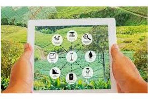 14 هزار هکتار زمین کشاورزی بابل ثبت سامانه شد