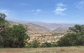 پایش علمی جنگل‌های زاگرس خوزستان/ ارزیابی جامع بوم‌سازگان در ۴ منطقه جنگلی
