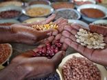 بحران امنیت غذایی در سال 2050
