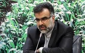 سهم 50 درصدی کشاورزی در اقتصاد فارس