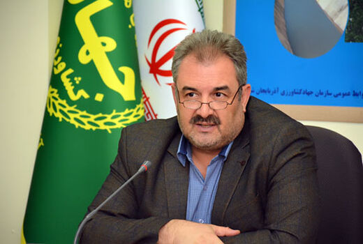 ادعای صادرات گوشت قرمز و  دام زنده تکذیب شد