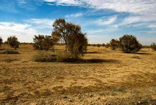 بیابان‌زایی زخمی بر پیکر طبیعت چهارمحال و بختیاری 