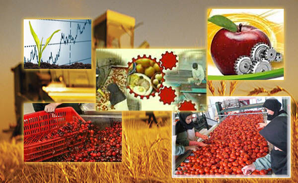 تورم 15.5 درصدی  زراعت، باغداری و دامداری سنتی سال ١٣٩٦
