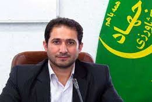 پیش‌بینی تولید بیش از ۲۷ میلیون تن سبزی و صیفی در کشور