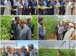 بهره‌برداری از دو واحد گلخانه سبزی و صیفی در خراسان جنوبی