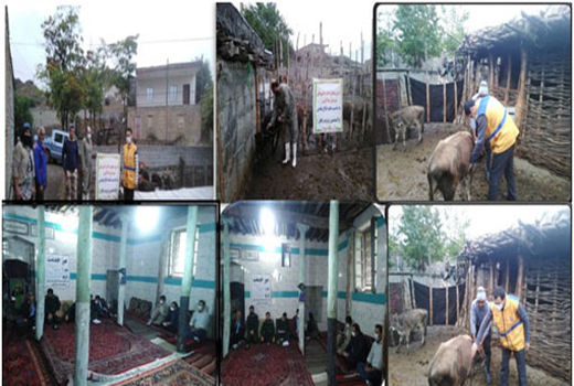 واکسیناسیون رایگان دام های روستایی و عشایری در خداآفرین