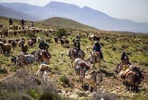 پرداخت بیش از 36 میلیارد تومان تسهیلات به عشایر فارس 