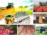 افزایش و بهبود کیفیت محصولات کشاورزی در کردستان