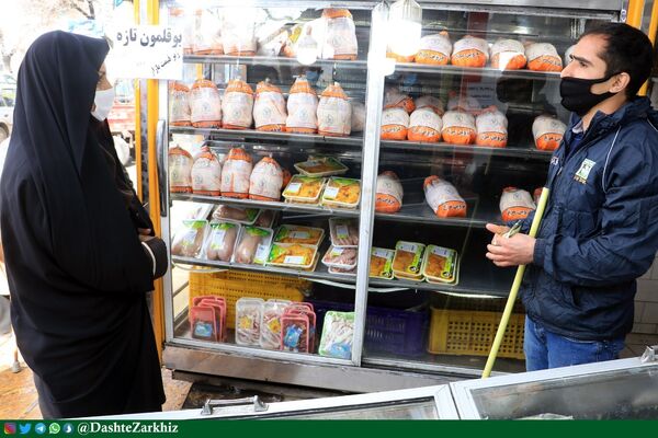 مشکلی در تامین گوشت مرغ در استان قزوین نداریم