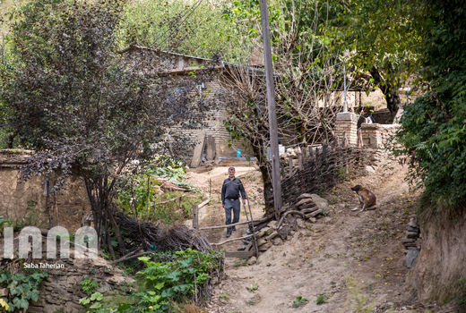 اختصاص ۱۸ هزار میلیارد تومان به اشتغال پایدار روستایی