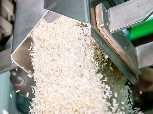 فعالیت 7 واحد برنجکوبی در بیضا