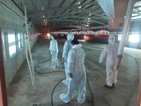 مانور پدافند زیستی برای کنترل آنفلوانزای فوق حاد پرندگان در شهرستان اسکو