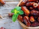 اجرای طرح سازگاری رقم جدید خرما در هرمزگان