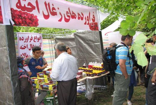 زغال اخته محصولی مناسب برای صادرات