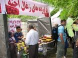 زغال اخته محصولی مناسب برای صادرات
