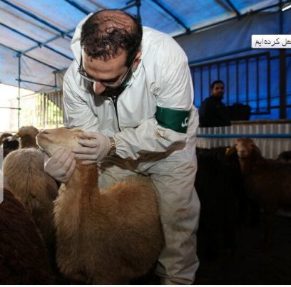 در بخش کشاورزی و دامی موفق عمل کردهایم