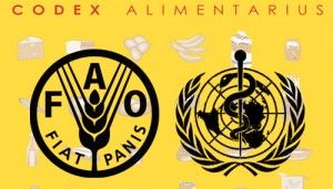 برگزاری چهلمین نشست کمیسیون استاندارد فائو (کدکس)/ جهان سالم‌تر می‌شود/ تصویب برخی استانداردهای جدید در نشست کدکس