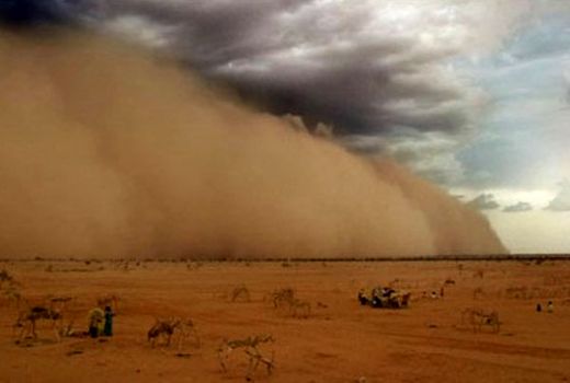 ۱۴ میلیون هکتار از عرصه‌های کشور تحت تأثیر کانون‌های بحرانی گردوغبار / مدیریت مصرف آب برای مقابله با کم‌آبی ضروری است