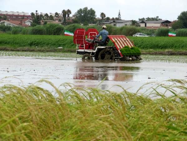 بهره‌برداری از ۲۵ طرح عمرانی و تولیدی در گیلان با اعتبار ۵۱۱ میلیارد و ۸۸۵ میلیون ریال
