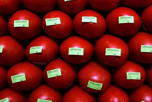 اجرای پایلوت توسعه تولید محصولات ارگانیک در چهار استان کشور