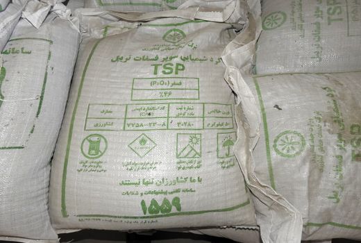 تأمین و توزیع 258 تن کود فسفاته در استان البرز