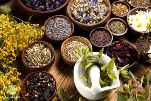 طرح «یک شهر – یک زنجیره ارزش» اجرا می شود