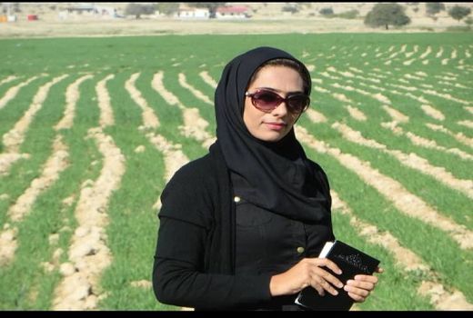 این پژوهشگر برتر، انار شیطان را در لارستان احیا کرد