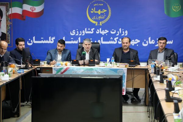 لزوم ورود اتحادیه ها به خرید مازاد پنبه کشاورزان/ کاهش 90 درصدی پیمان سپاری ارزی برای صادرکنندگان مرکبات