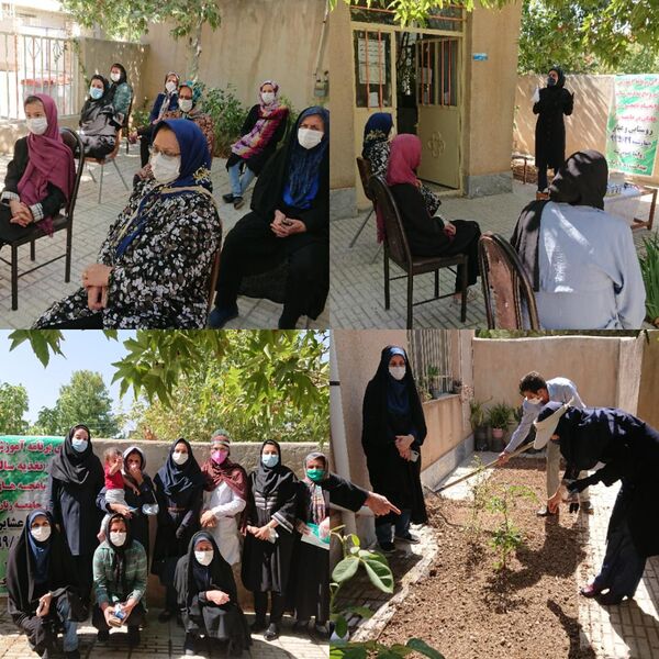 زنان روستایی شهرستان آبیک با کشت سبزیجات سالم آشنا شدند